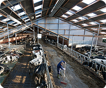 farm-barn-plumbing-md
